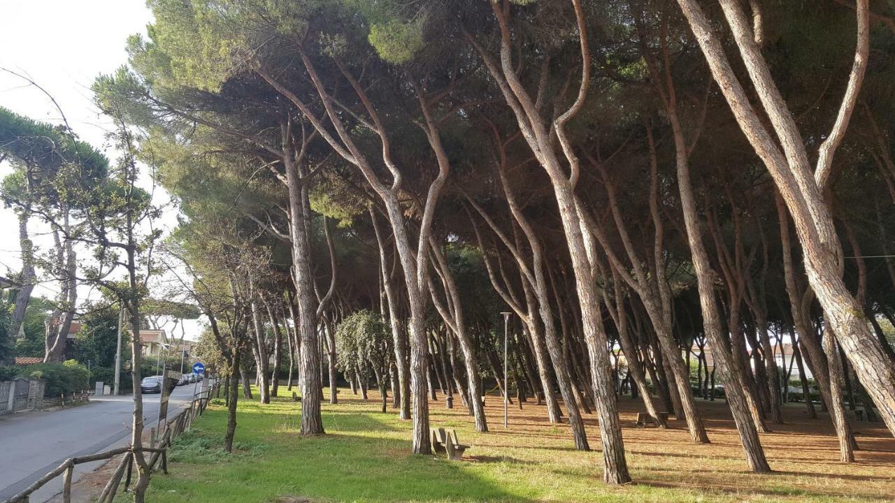 La Locanda Di Gioele 利多迪卡马约雷 外观 照片